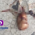 Ciudadanos reportan feto tirado en la banqueta de la esquina de las calles 31 de octubre y Morelos en el centro de la cuidad.