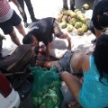 Atropellan a vendedor de cocos