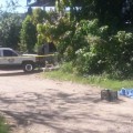 Encuentran cadáver de masculino en San José del Valle, Nayarit
