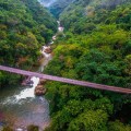 #Jorullo Bridge el nuevo circuito de Canopy River