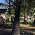Se incendia predio en Ixtapa