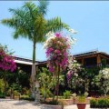 Logra Jardín botánico Vallarta el 5to lugar en el mundo de la lista "Choice Best North American"
