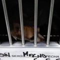 Sindicato deja encerradas mascotas enfermas y heridas para cobrarles cuotas a los propietarios de veterinaria.