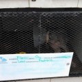 Sindicato deja encerradas mascotas enfermas y heridas para cobrarles cuotas a los propietarios de veterinaria.