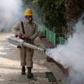 Emiten solo “aviso” epidemiológico por dengue en Jalisco