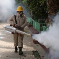 Utilizó gobierno de Jalisco químico caduco contra el dengue