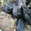 Persiste presencia de basura y grasas Soluciona SEAPAL tuberías rotas de drenaje en Pitillal, Versalles y Sendero de Luna