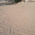 Desiertas las playas después de las 15:00 horas