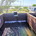 SEAPAL mantiene y garantiza la calidad del agua para los  vallartenses
