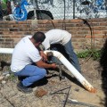 Apoya SEAPAL a restaurar servicio de agua potable en La Desembocada y El Ranchito