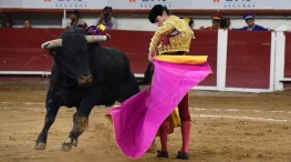¡Abajo otra vez! Suspende provisionalmente las corridas de toros en CDMX