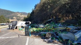 Cierra autopista México-Puebla por accidente de tráiler