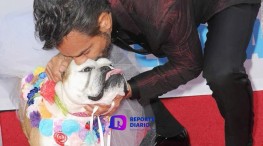 Eugenio Derbez rinde homenaje a su perrita Fiona tras despedirla