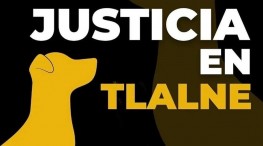 Exigen justicia para el perrito asesinado en Tlalnepantla