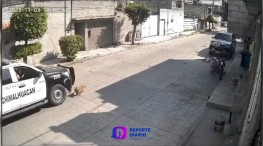 Patrulleros matan al perro Peluche quien vivía en Chimalhuacán