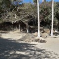 Aprovechan contingencia para construir en la Playa Los Muertos en Sayulita