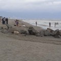 Muere turista en playa de Nuevo Vallarta
