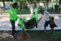 Ciudadanía y Ayuntamiento unen esfuerzos en cruzada contra la basura