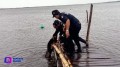 ¡Crueldad total! Perrito sobrevive al paso de Huracán Milton a pesar de ser amarrado a un muelle