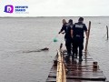 ¡Crueldad total! Perrito sobrevive al paso de Huracán Milton a pesar de ser amarrado a un muelle