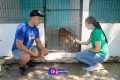 Rehabilitan instalaciones del Centro de Control Animal