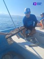 Sacan del mar 2.3 toneladas en torneo de pesca de basura