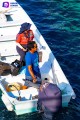 Sacan del mar 2.3 toneladas en torneo de pesca de basura