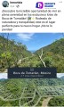 Advierte Ejido Boca de Tomatlán sobre fraude en venta de terrenos junto al río.