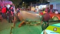 Al cruzar la Exiquio Corona un motociclista los atropella