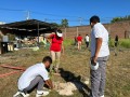 Arrancó campaña de reforestación en Puerto Vallarta