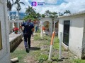 Asegura policía de Bahía de Banderas a un sujeto con orden de Aprehensión