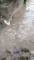 Basura, principal causa de inundaciones: PC