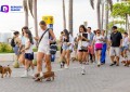 Camina Salchicha por el malecón