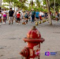 Camina Salchicha por el malecón