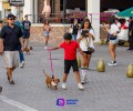 Camina Salchicha por el malecón