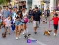 Camina Salchicha por el malecón