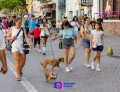 Camina Salchicha por el malecón