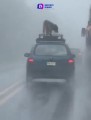 Captan a lomito amarrado al toldo bajo una tormenta