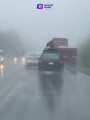 Captan a lomito amarrado al toldo bajo una tormenta