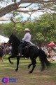 Celebran las Paseadas en Las Palmas; cumplen 88 años.