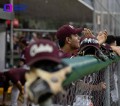 Charros de Jalisco Beisbol en Vallarta