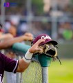 Charros de Jalisco Beisbol en Vallarta