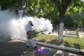 Continúan creciendo el número de casos de Dengue en Vallarta, son ya 81