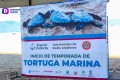 Dan arranque a temporada de anidación de la tortuga marina