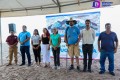 Dan arranque a temporada de anidación de la tortuga marina