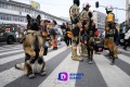 De lo más esperado, el paso de los lomitos en el desfile militar