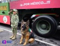 De lo más esperado, el paso de los lomitos en el desfile militar