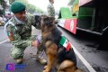 De lo más esperado, el paso de los lomitos en el desfile militar