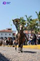 Desfilan charros en Puerto Vallarta