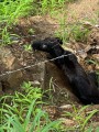 Deterioro ambiental en el cantón: Basura y peligro amenazan la vida silvestre